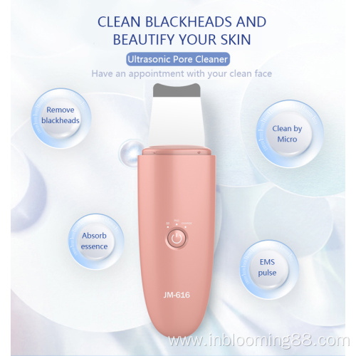 Cleansing Abs Stainless Steel Ultrasound Face Skin Scrubber